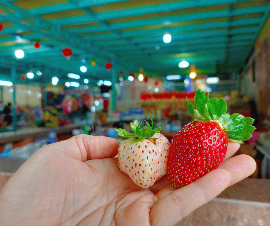 Strawberry Farm